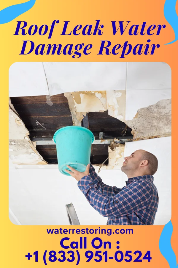 Roof Leak Water Damage Repair in McKinnon, WY